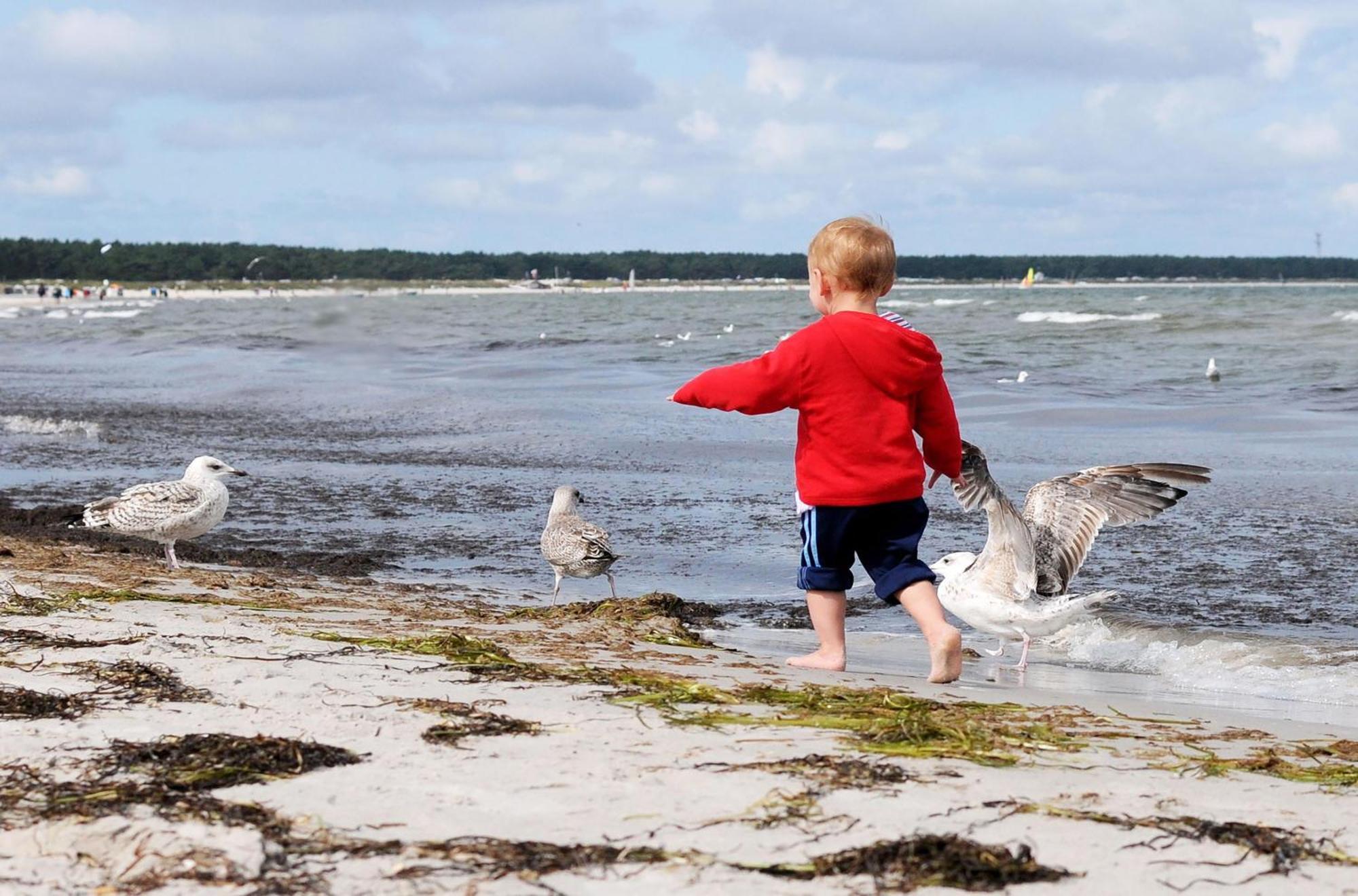 Bernsteinwind An Der Seebruecke * Zingst